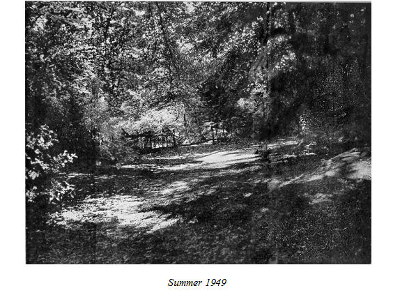 M. L. Berneri’s resting place, Summer, 1949